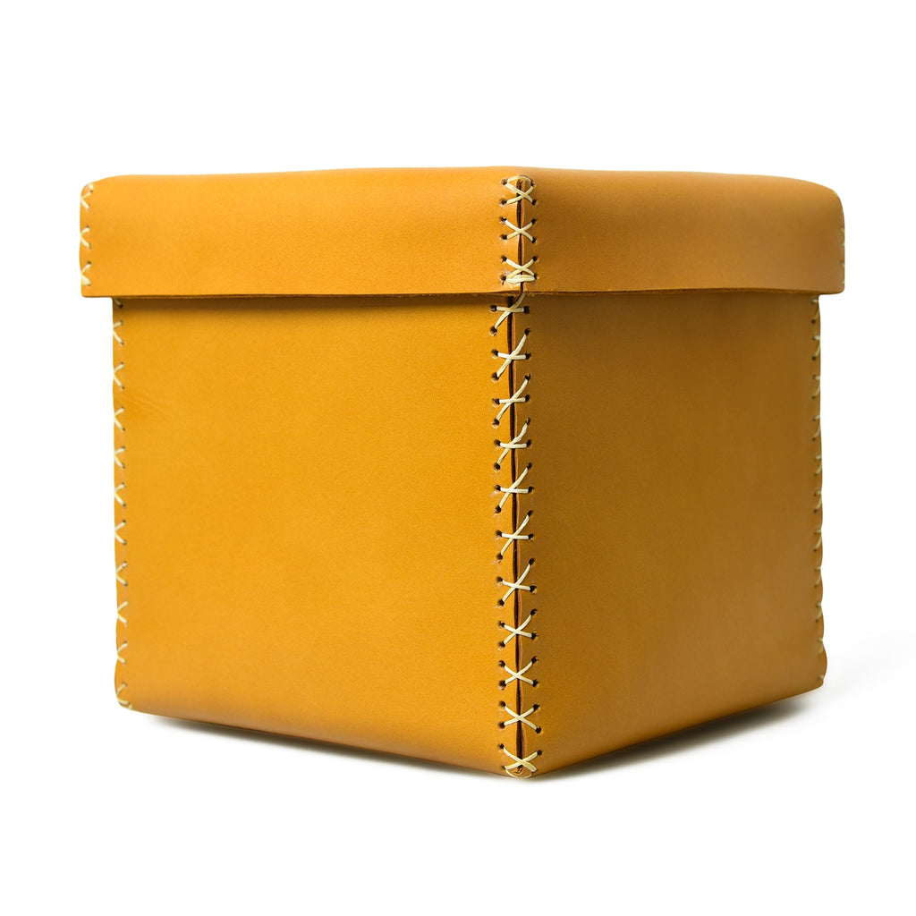 Multi Utility Leather Storage Box
